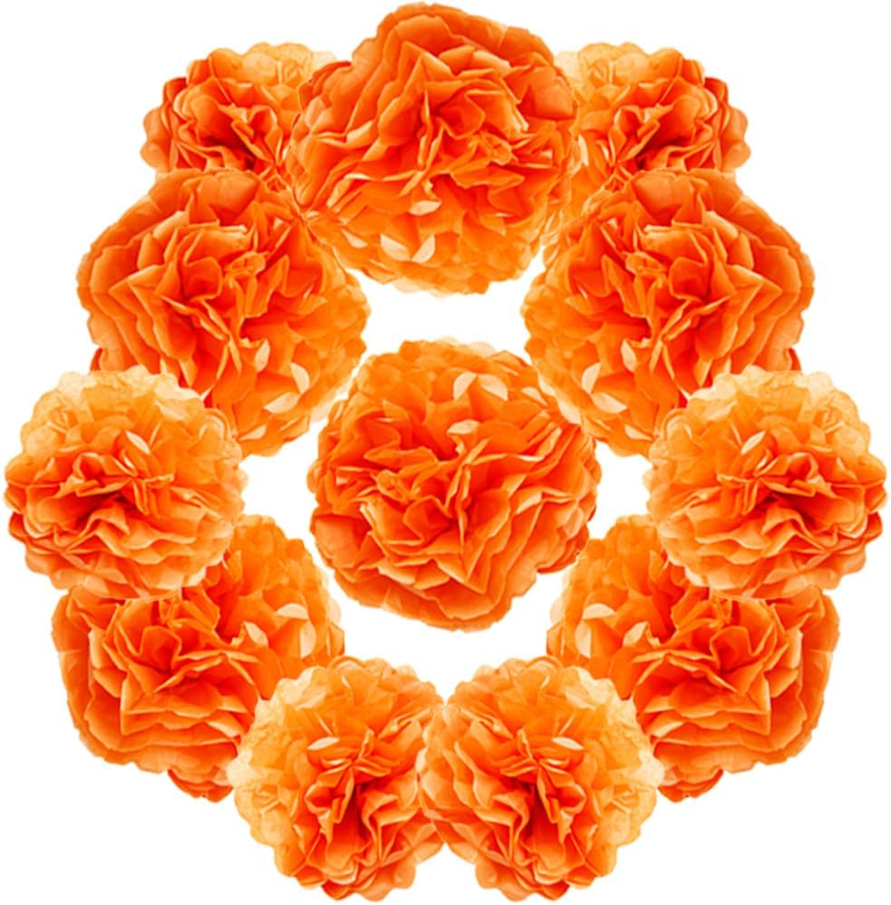 Yosawa 12 Pcs Tissue Paper Pom Poms Flowers,10''12''Paper Flower Party Decorations for Wedding Birthday Baby Shower Baby Girl Room Nursery Decoration（Sky Blue/ZH）