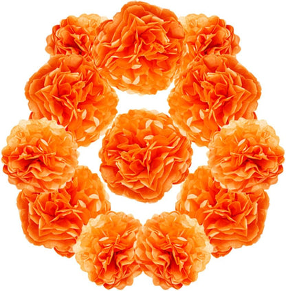 Yosawa 12 Pcs Tissue Paper Pom Poms Flowers,10''12''Paper Flower Party Decorations for Wedding Birthday Baby Shower Baby Girl Room Nursery Decoration（Sky Blue/ZH）