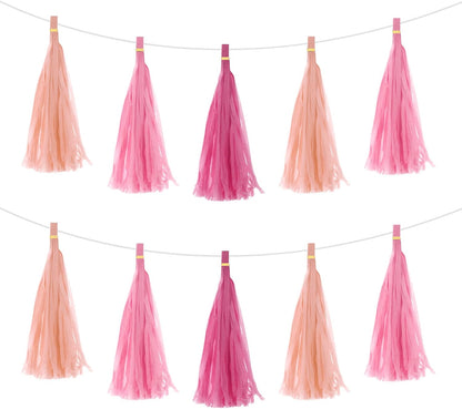 MECCANIXITY 15Pcs Light Blue Tassel Garland Banner with Rope Tissue Paper Tassels Party DIY Kits for Anniversary Wedding Birthday Party