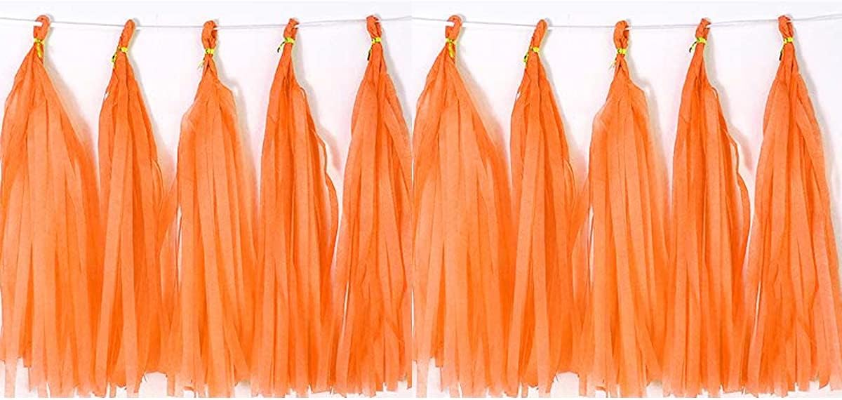 Tissue Paper Tassels Paper Tassel Garland Banner Table Decor Party Tassels Banner Wedding Birthday Baby Shower Nursey Party Decorations Supplies (20, Rose Gold+Pink+Rose Red+Lt-Pink)