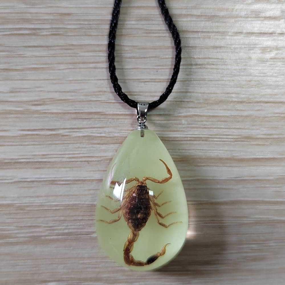 Glow in the Dark Necklace Black Scorpion Amber Resin Adjustable Necklace Pendent with Insect Sample Inside Birthday Gift for Lover Friends