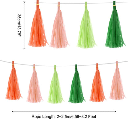 MECCANIXITY 20Pcs Light Blue Tassel Garland Banner with Rope Tissue Paper Tassels Party DIY Kits for Anniversary Wedding Birthday Party