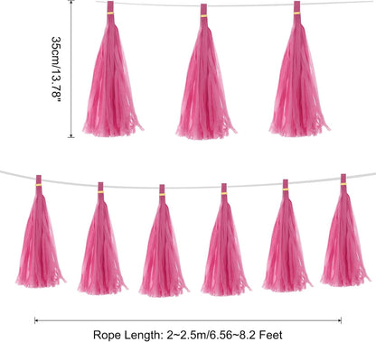 MECCANIXITY 15Pcs Light Blue Tassel Garland Banner with Rope Tissue Paper Tassels Party DIY Kits for Anniversary Wedding Birthday Party