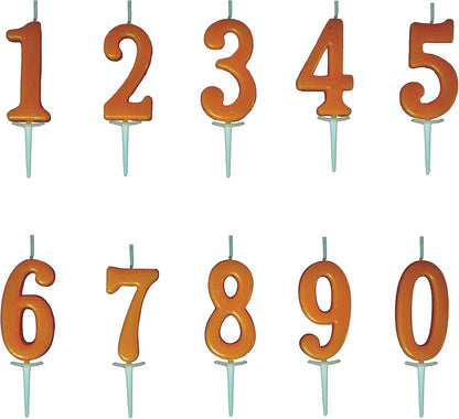 10 Pieces Birthday Numeral Candles, Cake Numeral Candle for Cake Decoration, Number 0-9 Cake Topper Candles Number 0 1 2 3 4 5 6 7 8 9 for Birthday Wedding Anniversary Party Celebration, Black