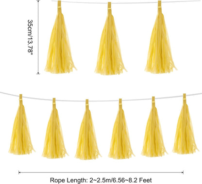 MECCANIXITY 15Pcs Light Blue Tassel Garland Banner with Rope Tissue Paper Tassels Party DIY Kits for Anniversary Wedding Birthday Party