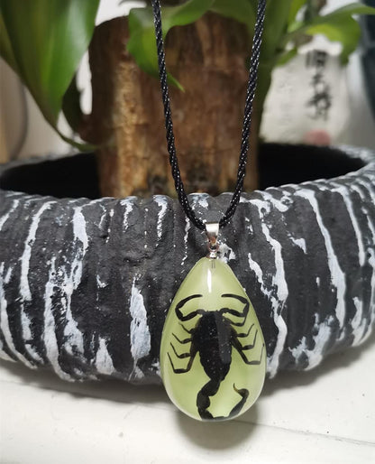 Glow in the Dark Necklace Black Scorpion Amber Resin Adjustable Necklace Pendent with Insect Sample Inside Birthday Gift for Lover Friends