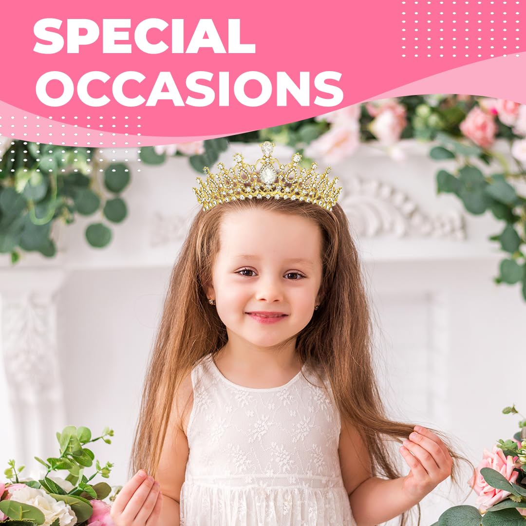 Birthday Tiara Crown with Sash for Women, Headband Hair Accessories for Wedding Party Costume