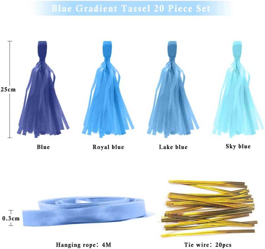 9.8in Blue Tissue Paper Tassel DIY Hanging paper decorations Party Garland Decor for Party Decorations Wedding,Festival,Baby Shower Decoration 20PCS25cm