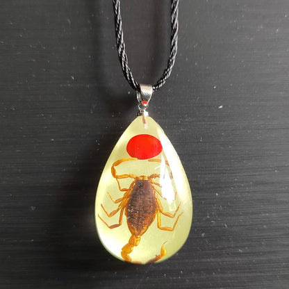 Glow in the Dark Necklace Black Scorpion Amber Resin Adjustable Necklace Pendent with Insect Sample Inside Birthday Gift for Lover Friends