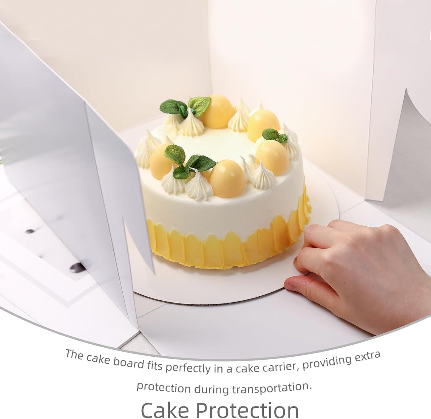 VGOODALL 10 Pack Cake Boxes, 10x10x8 Inches Cake Containers with Window, White Bakery Boxes with Lids for Birthday Party Wedding