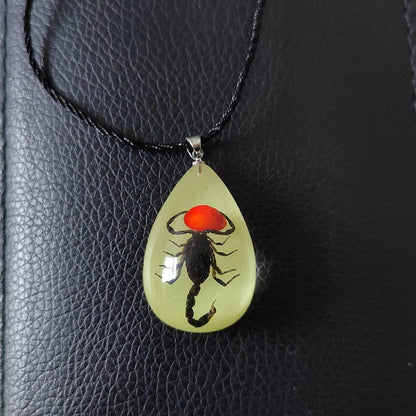 Glow in the Dark Necklace Black Scorpion Amber Resin Adjustable Necklace Pendent with Insect Sample Inside Birthday Gift for Lover Friends