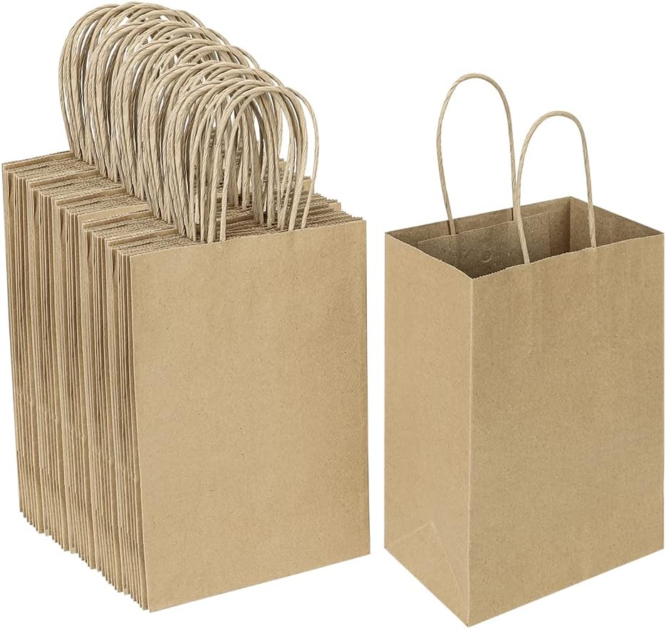 Oikss 100 Pack 5.25x3.25x8.25 Inch Small White Kraft Paper Bags with Handles Bulk for Birthday Wedding Party Favors Grocery Retail Shopping Business Goody Craft Gift Bags Cub Sacks (100pcs Count)
