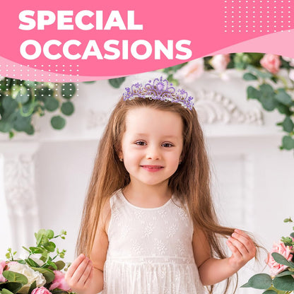 Birthday Tiara Crown with Sash for Women, Headband Hair Accessories for Wedding Party Costume