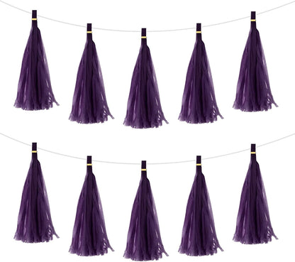 MECCANIXITY 20Pcs Light Blue Tassel Garland Banner with Rope Tissue Paper Tassels Party DIY Kits for Anniversary Wedding Birthday Party