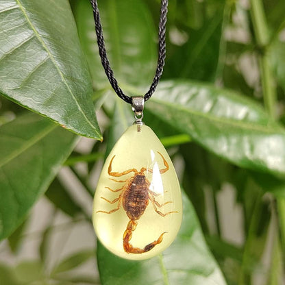 Glow in the Dark Necklace Black Scorpion Amber Resin Adjustable Necklace Pendent with Insect Sample Inside Birthday Gift for Lover Friends