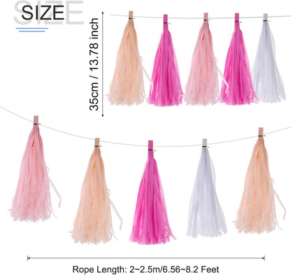 MECCANIXITY 20Pcs Light Blue Tassel Garland Banner with Rope Tissue Paper Tassels Party DIY Kits for Anniversary Wedding Birthday Party