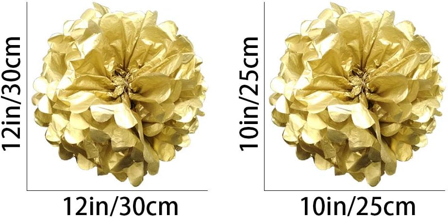 White Paper Pom Poms - Party Tissue Paper Flowers Balls - Party Hanging Decoration Supplies - Size of 10inch, 12inch, Great for Wedding, Birthday, Any Parties and Events (12 PCS)