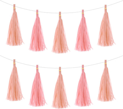 MECCANIXITY 20Pcs Light Blue Tassel Garland Banner with Rope Tissue Paper Tassels Party DIY Kits for Anniversary Wedding Birthday Party