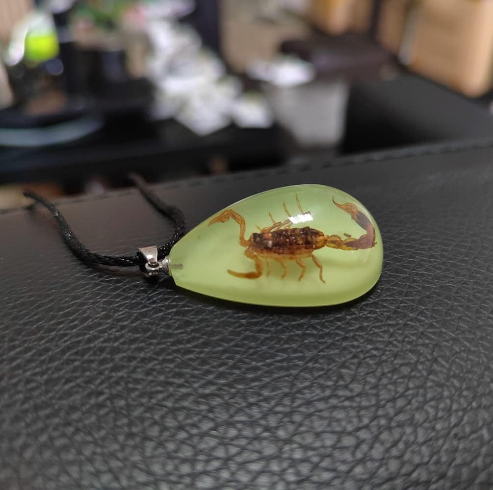 Glow in the Dark Necklace Black Scorpion Amber Resin Adjustable Necklace Pendent with Insect Sample Inside Birthday Gift for Lover Friends