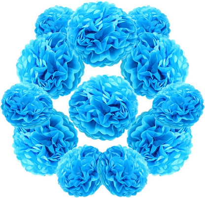 Yosawa 12 Pcs Tissue Paper Pom Poms Flowers,10''12''Paper Flower Party Decorations for Wedding Birthday Baby Shower Baby Girl Room Nursery Decoration（Sky Blue/ZH）
