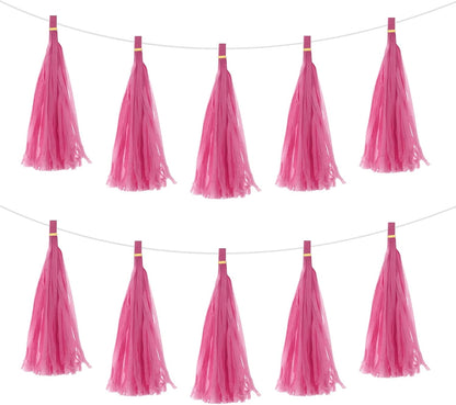MECCANIXITY 15Pcs Light Blue Tassel Garland Banner with Rope Tissue Paper Tassels Party DIY Kits for Anniversary Wedding Birthday Party