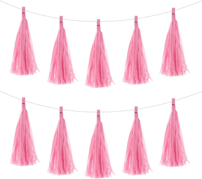 MECCANIXITY 20Pcs Light Blue Tassel Garland Banner with Rope Tissue Paper Tassels Party DIY Kits for Anniversary Wedding Birthday Party