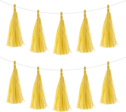 MECCANIXITY 15Pcs Light Blue Tassel Garland Banner with Rope Tissue Paper Tassels Party DIY Kits for Anniversary Wedding Birthday Party