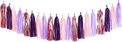 20 Pieces Tissue Paper Tassel Garland, Birthday Tassel Garland Party Decor, Metallic Fringe Balloon Banner Tails for Classroom Baby Shower Gender Reveal Hanging Decoration, D