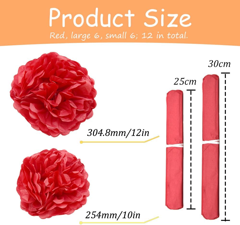 Yosawa 12 Pcs Tissue Paper Pom Poms Flowers,10''12''Paper Flower Party Decorations for Wedding Birthday Baby Shower Baby Girl Room Nursery Decoration（Sky Blue/ZH）