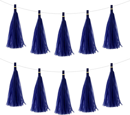MECCANIXITY 20Pcs Light Blue Tassel Garland Banner with Rope Tissue Paper Tassels Party DIY Kits for Anniversary Wedding Birthday Party