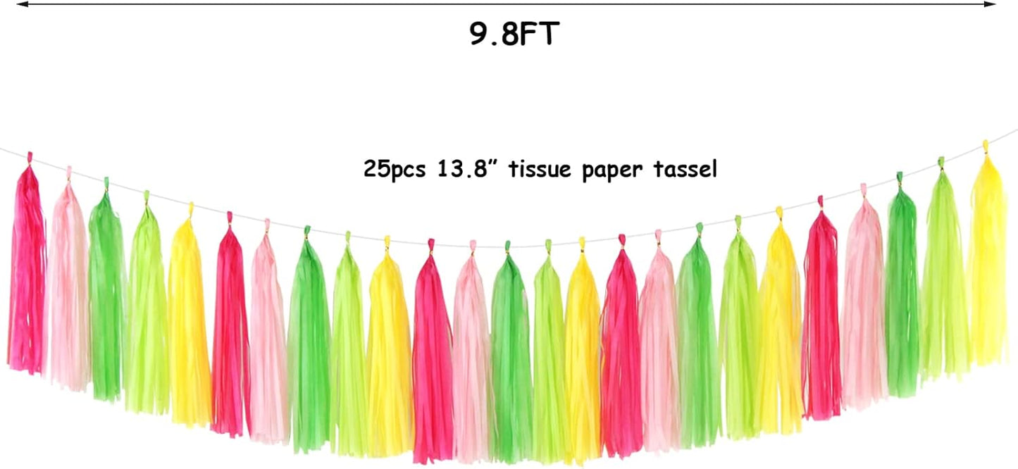 Navy-Blue White-Silver Tassel Garland Streamers - 15pcs Party Decorations Tissue Paper Tassels Banner,Graduation 2025 Wedding Baby Bridal Shower Hanging Decoration Boy Birthday Backdrop Decor Panduola