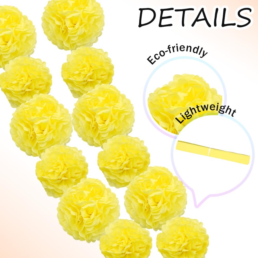 Yosawa 12 Pcs Tissue Paper Pom Poms Flowers,10''12''Paper Flower Party Decorations for Wedding Birthday Baby Shower Baby Girl Room Nursery Decoration（Sky Blue/ZH）