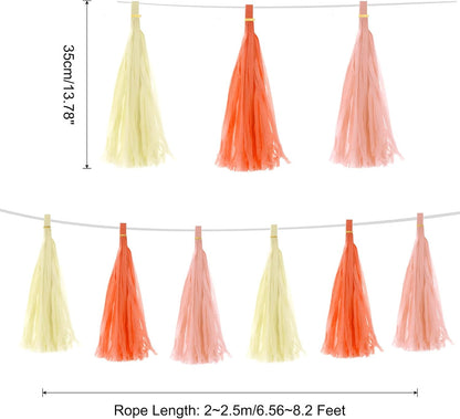 MECCANIXITY 15Pcs Light Blue Tassel Garland Banner with Rope Tissue Paper Tassels Party DIY Kits for Anniversary Wedding Birthday Party