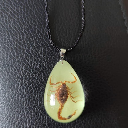 Glow in the Dark Necklace Black Scorpion Amber Resin Adjustable Necklace Pendent with Insect Sample Inside Birthday Gift for Lover Friends