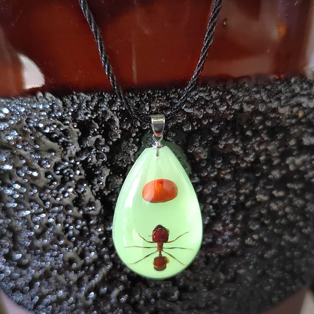Glow in the Dark Necklace Black Scorpion Amber Resin Adjustable Necklace Pendent with Insect Sample Inside Birthday Gift for Lover Friends