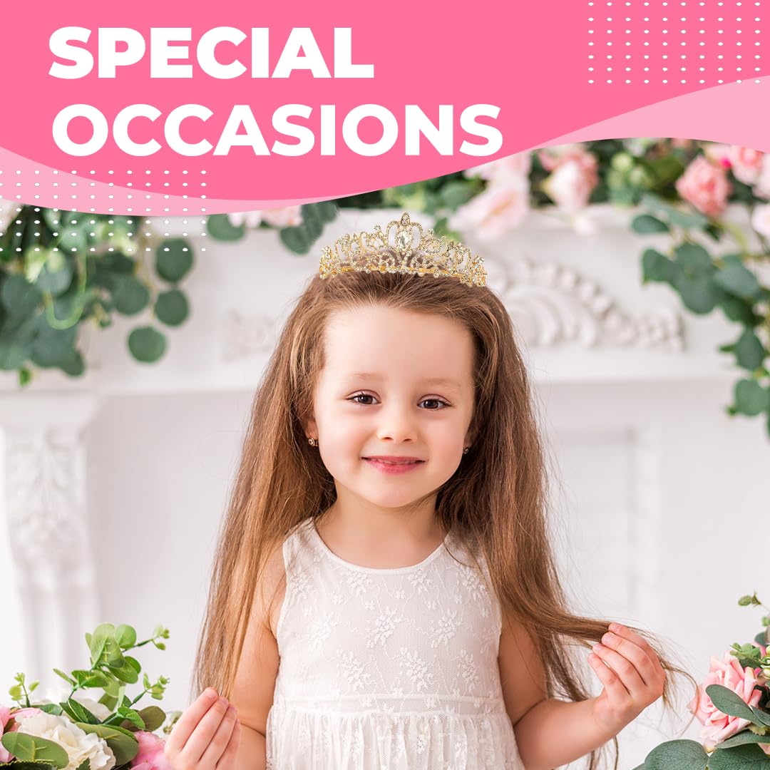 Birthday Tiara Crown with Sash for Women, Headband Hair Accessories for Wedding Party Costume