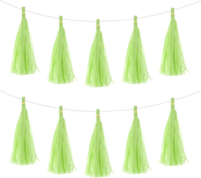 MECCANIXITY 20Pcs Light Blue Tassel Garland Banner with Rope Tissue Paper Tassels Party DIY Kits for Anniversary Wedding Birthday Party