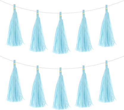 MECCANIXITY 20Pcs Light Blue Tassel Garland Banner with Rope Tissue Paper Tassels Party DIY Kits for Anniversary Wedding Birthday Party