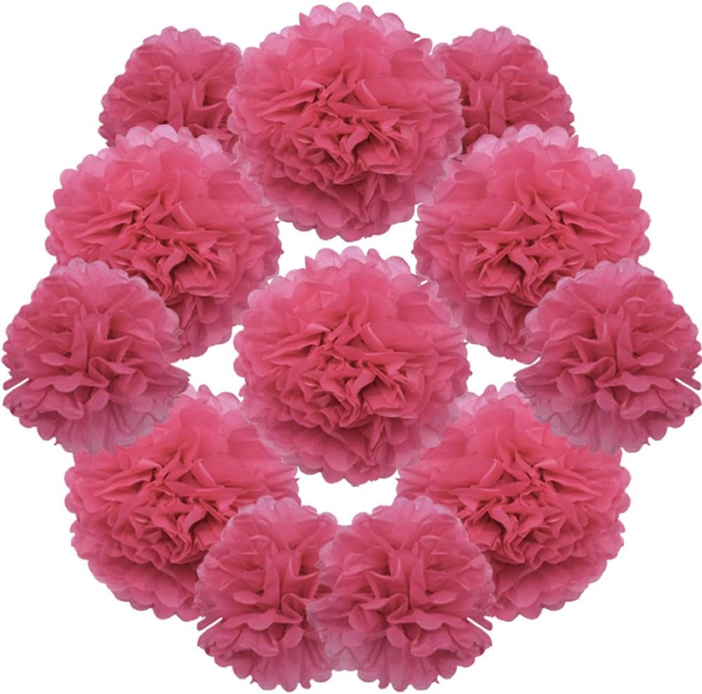 Yosawa 12 Pcs Tissue Paper Pom Poms Flowers,10''12''Paper Flower Party Decorations for Wedding Birthday Baby Shower Baby Girl Room Nursery Decoration（Sky Blue/ZH）