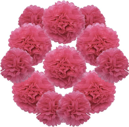 Yosawa 12 Pcs Tissue Paper Pom Poms Flowers,10''12''Paper Flower Party Decorations for Wedding Birthday Baby Shower Baby Girl Room Nursery Decoration（Sky Blue/ZH）