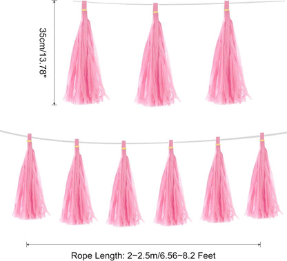 MECCANIXITY 15Pcs Light Blue Tassel Garland Banner with Rope Tissue Paper Tassels Party DIY Kits for Anniversary Wedding Birthday Party