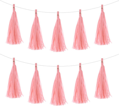 MECCANIXITY 20Pcs Light Blue Tassel Garland Banner with Rope Tissue Paper Tassels Party DIY Kits for Anniversary Wedding Birthday Party