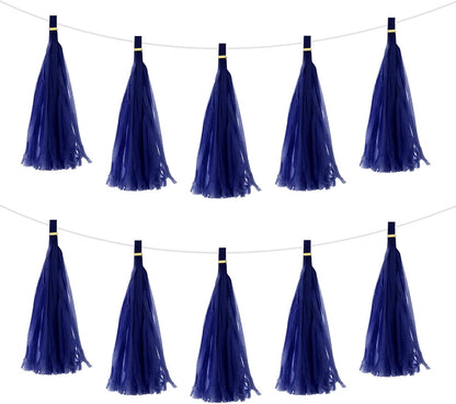 MECCANIXITY 15Pcs Light Blue Tassel Garland Banner with Rope Tissue Paper Tassels Party DIY Kits for Anniversary Wedding Birthday Party