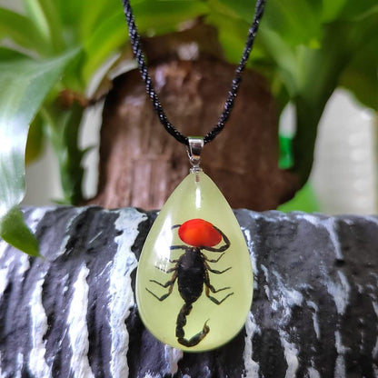 Glow in the Dark Necklace Black Scorpion Amber Resin Adjustable Necklace Pendent with Insect Sample Inside Birthday Gift for Lover Friends