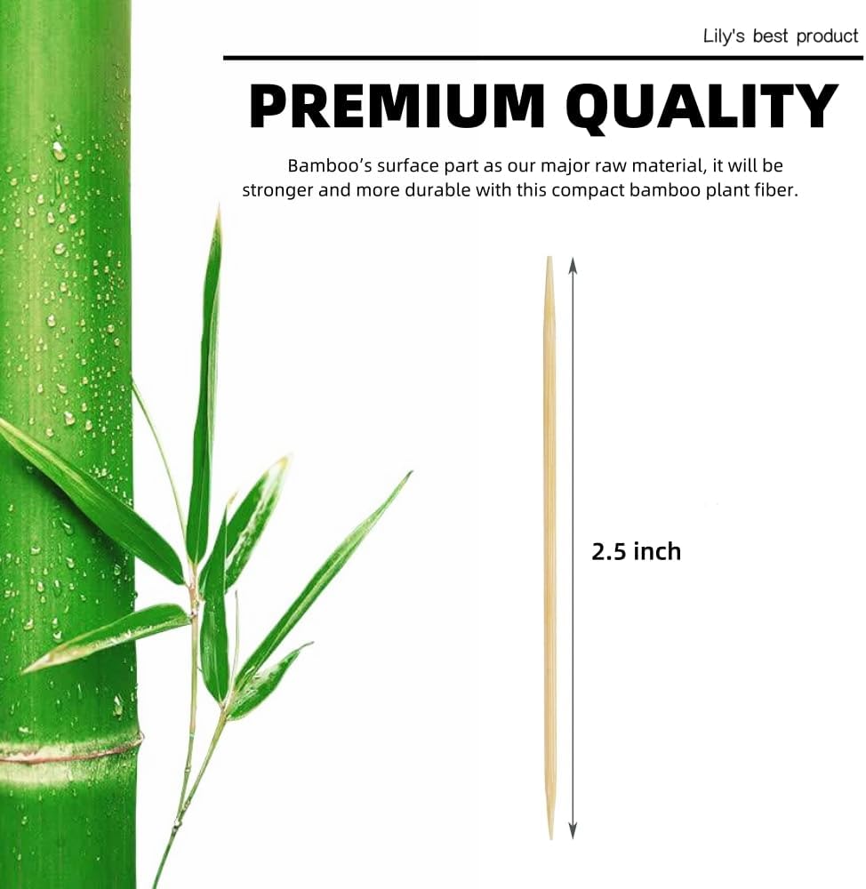 HOPELF Bamboo Toothpicks for Teeth Cleaning, Appetizer, Olive, Barbecue, Fruit, Double-Points Wooden Toothpick.600 Count