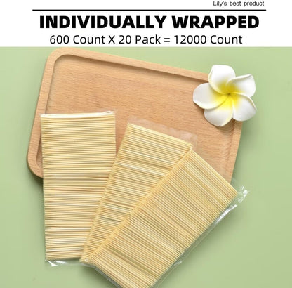 HOPELF Bamboo Toothpicks for Teeth Cleaning, Appetizer, Olive, Barbecue, Fruit, Double-Points Wooden Toothpick.600 Count