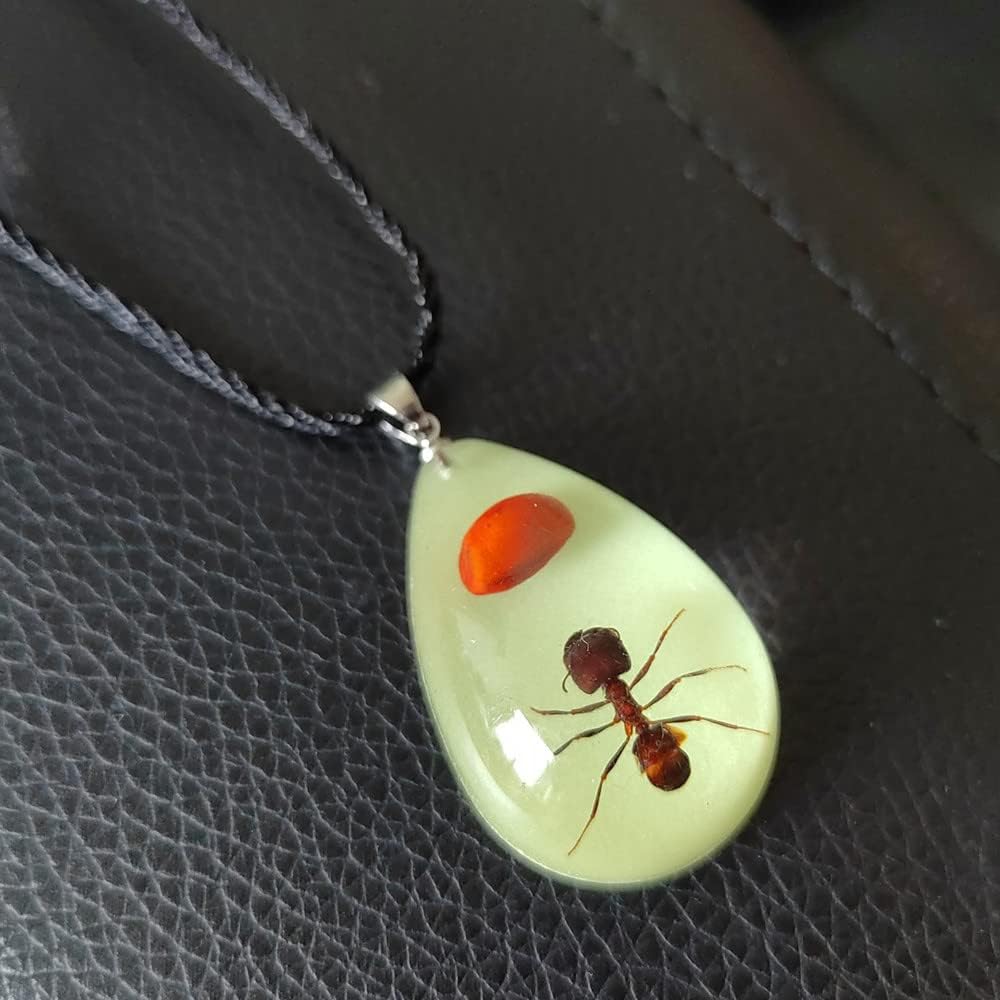 Glow in the Dark Necklace Black Scorpion Amber Resin Adjustable Necklace Pendent with Insect Sample Inside Birthday Gift for Lover Friends