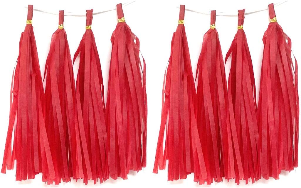 Tissue Paper Tassels Paper Tassel Garland Banner Table Decor Party Tassels Banner Wedding Birthday Baby Shower Nursey Party Decorations Supplies (20, Rose Gold+Pink+Rose Red+Lt-Pink)