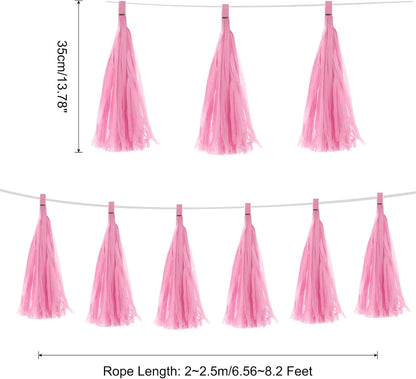 MECCANIXITY 20Pcs Light Blue Tassel Garland Banner with Rope Tissue Paper Tassels Party DIY Kits for Anniversary Wedding Birthday Party
