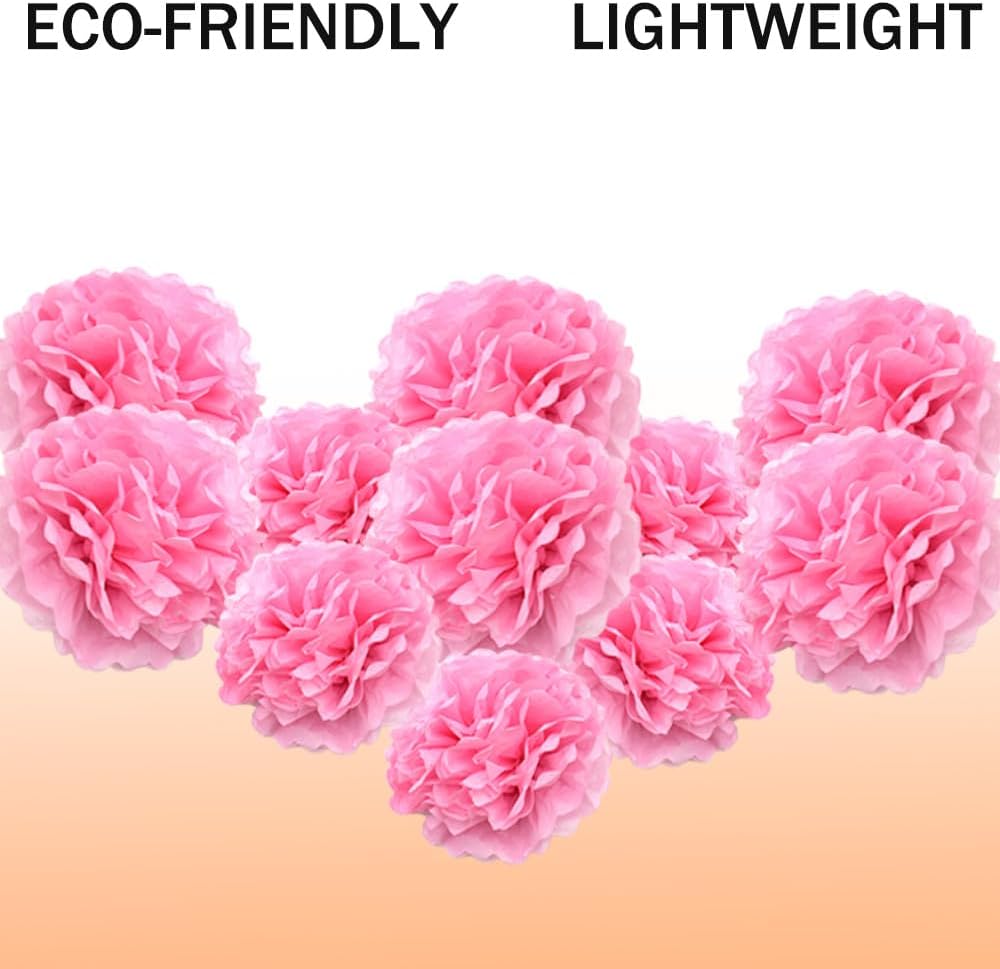 Yosawa 12 Pcs Tissue Paper Pom Poms Flowers,10''12''Paper Flower Party Decorations for Wedding Birthday Baby Shower Baby Girl Room Nursery Decoration（Sky Blue/ZH）
